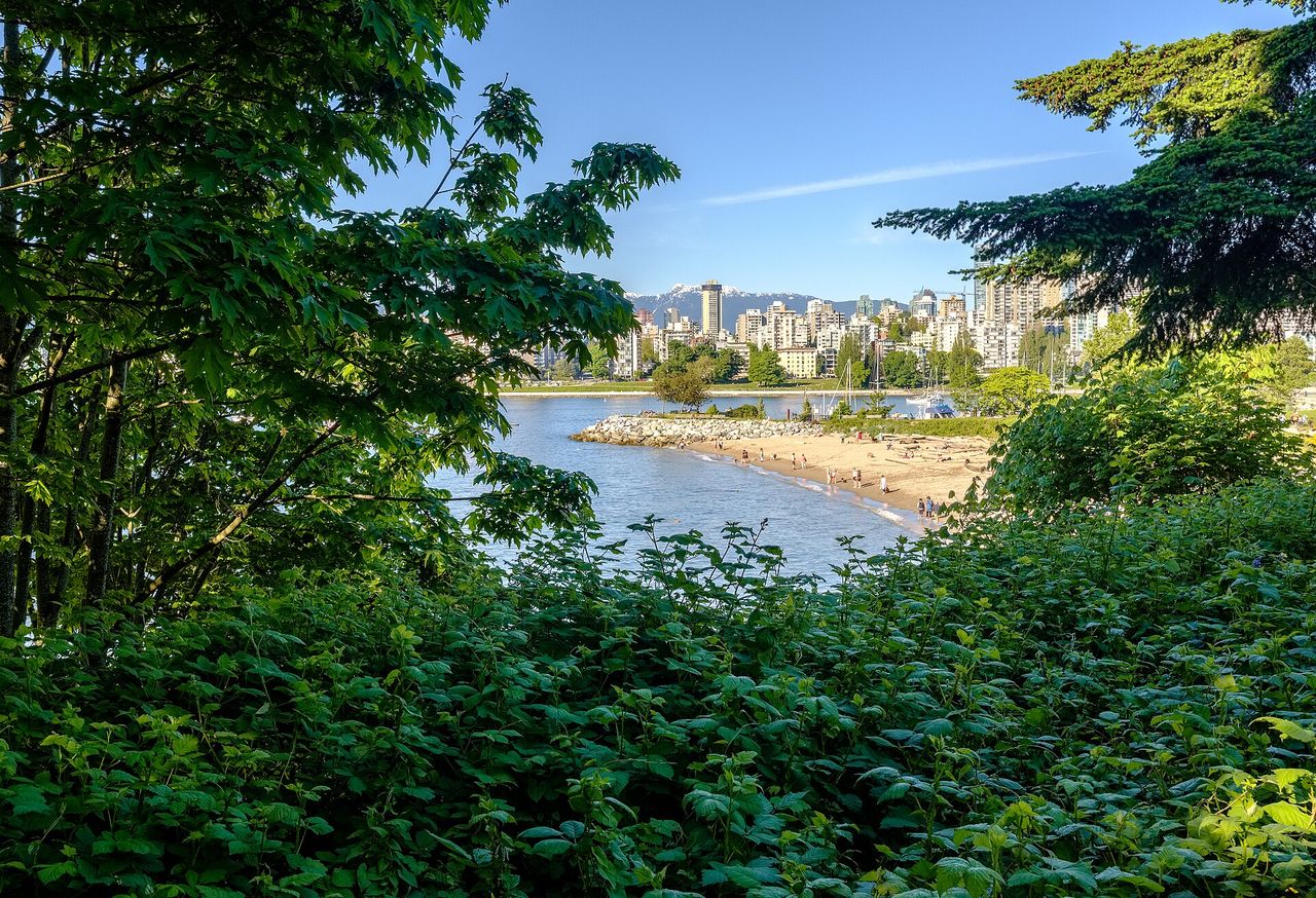 Kitsilano Beach on a clear day, the downtown skyline across the water